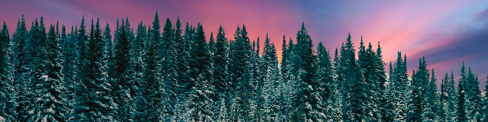 Winter Camps